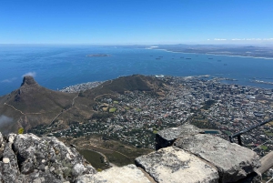 Privat byrundvisning i Cape Town og Taffelbjerget