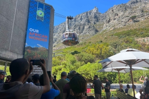 Privat byrundvisning i Cape Town og Taffelbjerget