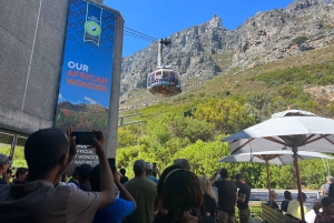 Privat byrundvisning i Cape Town og Taffelbjerget