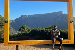Privat byrundvisning i Cape Town og Taffelbjerget
