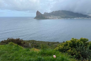 Privat byrundvisning i Cape Town og Taffelbjerget