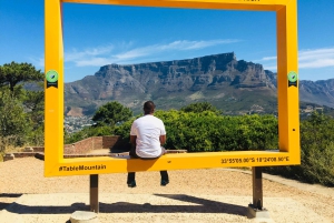 Privat byrundvisning i Cape Town og Taffelbjerget