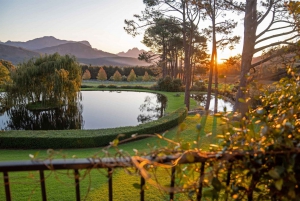 Privat vinresa till Kapstaden: 3 regioner, 3 egendomar och 15 viner