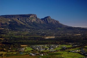 Private Cape Winelands Wine Tasting Tour incl. Transport