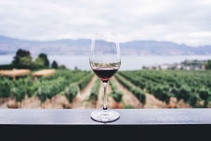 Private Cape Winelands Wine Tasting Tour incl. Transport
