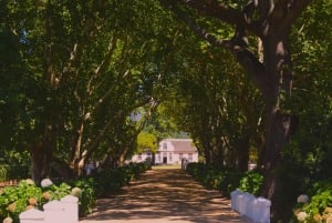 Private Cape Winelands Wine Tasting Tour incl. Transport