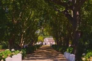 Private Cape Winelands Wine Tasting Tour incl. Transport