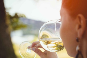 ケープワインランドのプライベートワインテイスティングツアー（送迎付き）