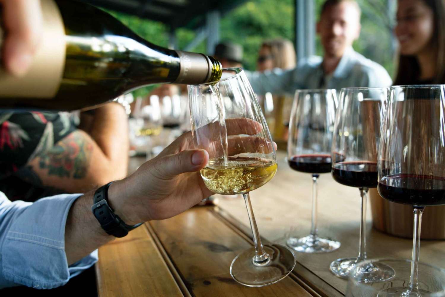 Private Cape Winelands Wine Tasting Tour - Three Regions
