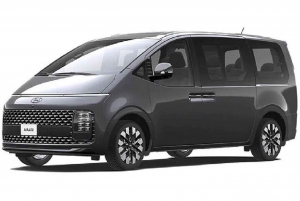 Privéchauffeur - Hele dag