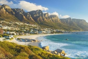 Privat chaufførservice - hele dagen