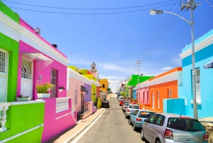 Private Custom Tour with a Local Guide Cape Town