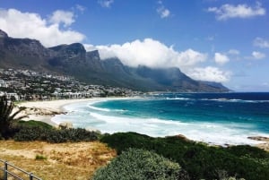 Privat skræddersyet tur med en lokal guide Cape Town