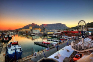 Privat skräddarsydd rundtur med lokal guide Kapstaden