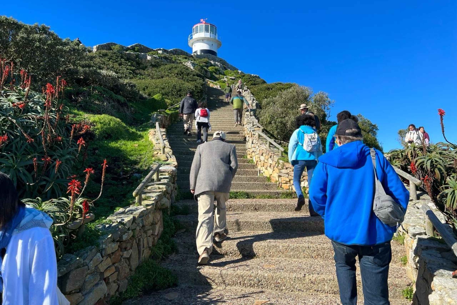 Private Day Tour Cape Point, Cape Of Good Hope & Penguins