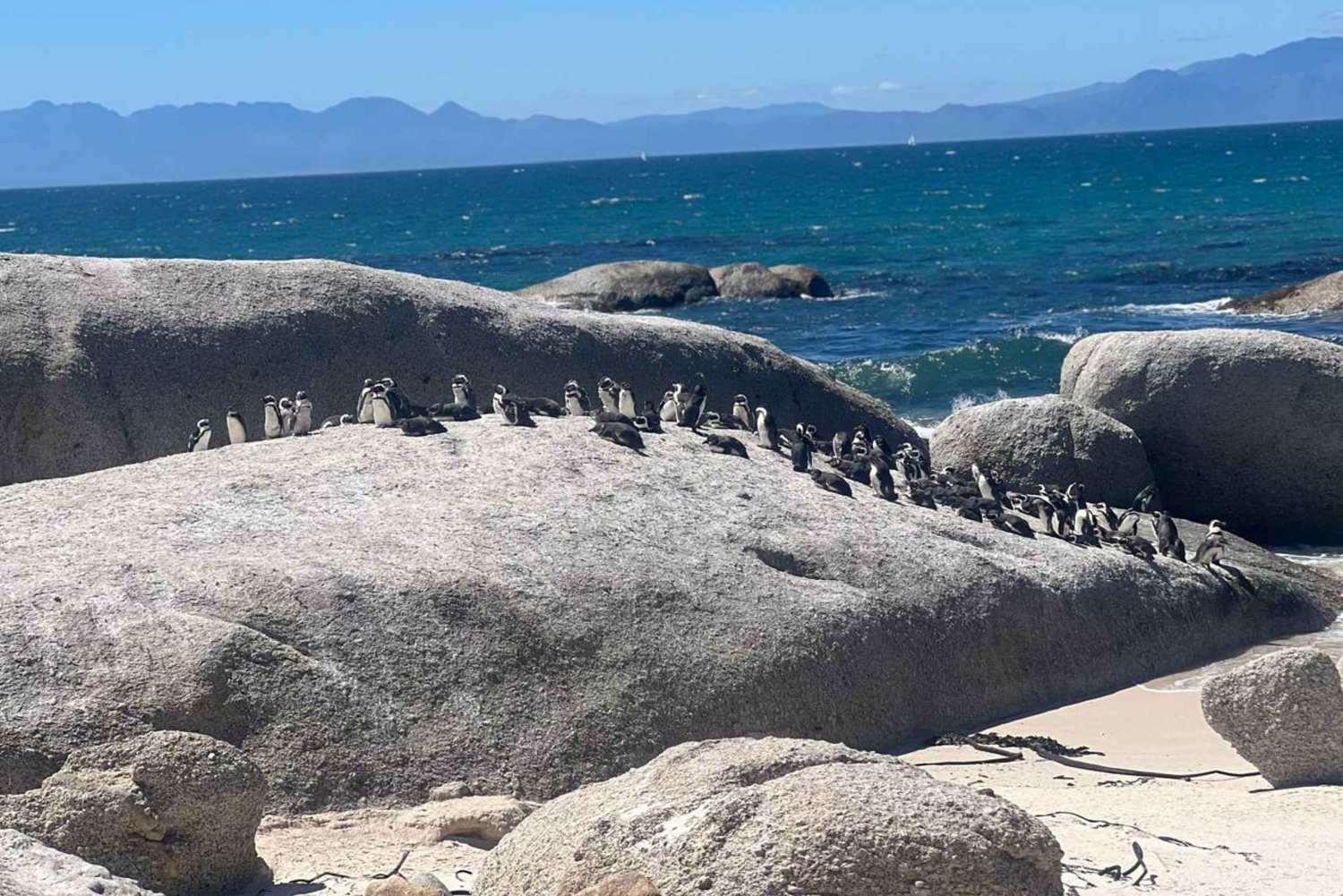 Private Day Tour Cape Point, Cape Of Good Hope & Penguins