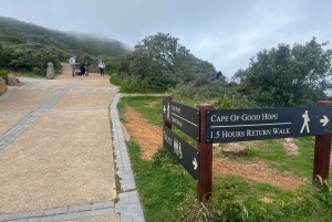 Private Day Tour Cape Point, Cape Of Good Hope & Penguins
