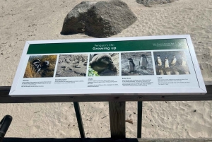 Private Day Tour Cape Point, Cape Of Good Hope & Penguins