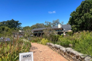 Private Day Tour Cape Point, Cape Of Good Hope & Penguins