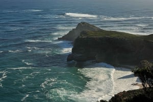 Private full day Table mountain,Cape point &City tour