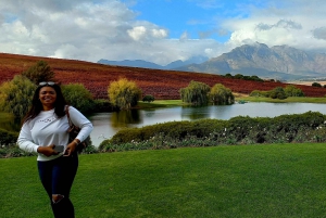 Private Full-Day Tour of the Cape Winelands