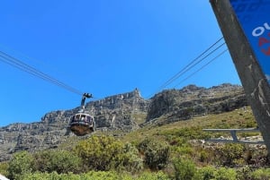 Excursion privée d'une journée à Robben Island et Table Mountain
