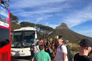 Privat heldagstur til Robben Island og Table Mountain