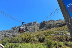 Tour privato di un giorno intero a Robben Island e Table Mountain