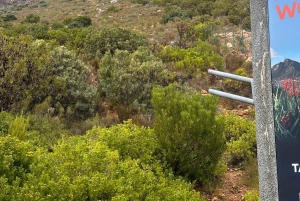 Tour privato di un giorno intero a Robben Island e Table Mountain