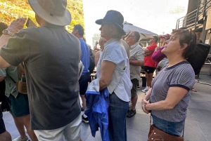 Tour privato di un giorno intero a Robben Island e Table Mountain