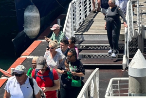 Tour privato di un giorno intero a Robben Island e Table Mountain