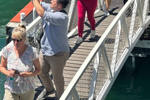 Tour privato di un giorno intero a Robben Island e Table Mountain