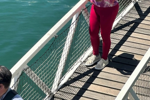 Tour privato di un giorno intero a Robben Island e Table Mountain