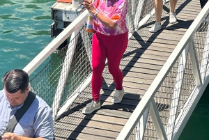 Tour privato di un giorno intero a Robben Island e Table Mountain