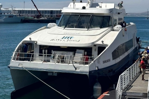 Tour privato di un giorno intero a Robben Island e Table Mountain