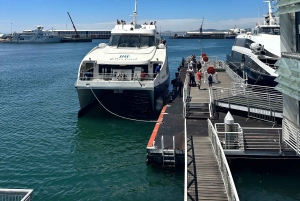 Tour privato di un giorno intero a Robben Island e Table Mountain