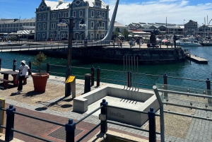 Tour privato di un giorno intero a Robben Island e Table Mountain