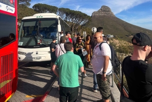 Privat dagsutflykt till Robben Island och Taffelberget