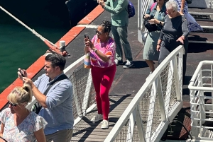 Privat dagsutflykt till Robben Island och Taffelberget