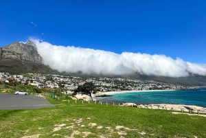 Privat dagsutflykt till Robben Island och Taffelberget