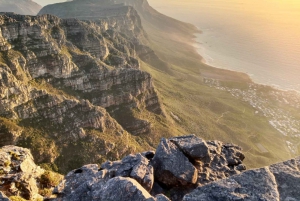 Excursão particular de 1 dia para Table Mountain e Cabo da Boa Esperança