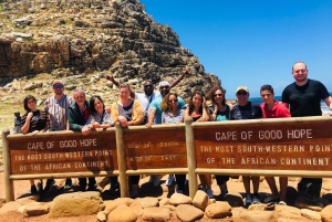 Yksityinen ryhmäkierros TableMountain Penguins &Cape of Good Hope (Hyvän toivon kapu)
