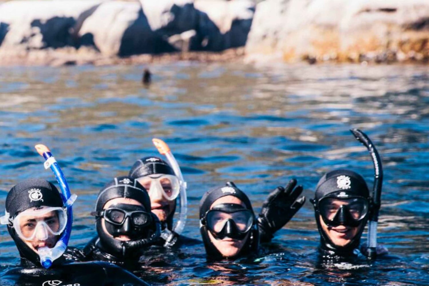 Privat guidet snorkleopplevelse – den afrikanske havskogen