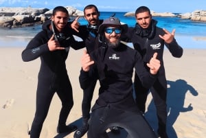 Privat guidad snorkling – den afrikanska havsskogen