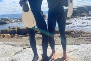 Privat guidad snorkling – den afrikanska havsskogen