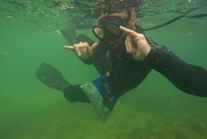 Privat guidet snorkleopplevelse – den afrikanske havskogen