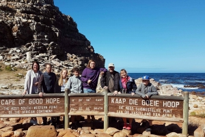 Tour privado guiado por la Península del Cabo