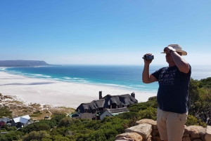 Tour privado guiado por la Península del Cabo