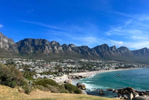 Prywatna wycieczka z przewodnikiem do Przylądka Dobrej Nadziei i Kolonii Pingwinów