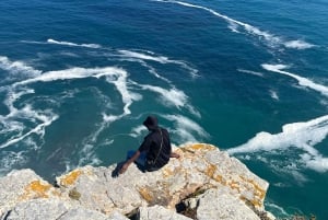 Prywatna wycieczka z przewodnikiem do Przylądka Dobrej Nadziei i Kolonii Pingwinów